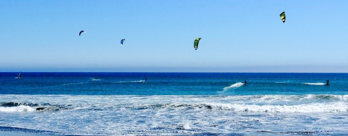 Blue Windsurfers
